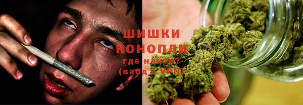 PSILOCYBIN Ельня
