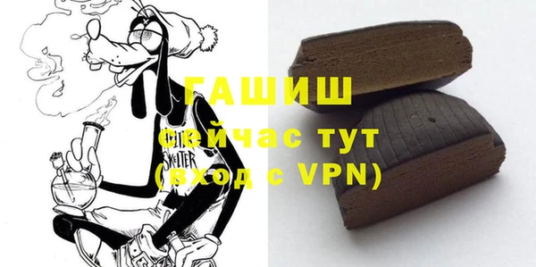 PSILOCYBIN Ельня