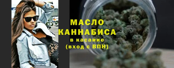 PSILOCYBIN Ельня