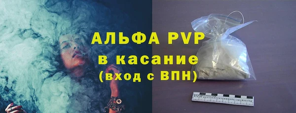 PSILOCYBIN Ельня