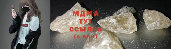 PSILOCYBIN Ельня