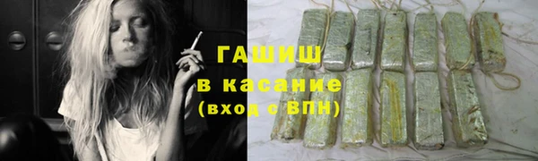 PSILOCYBIN Ельня