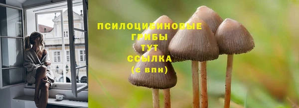бошки Елизово