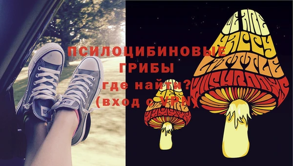 бошки Елизово