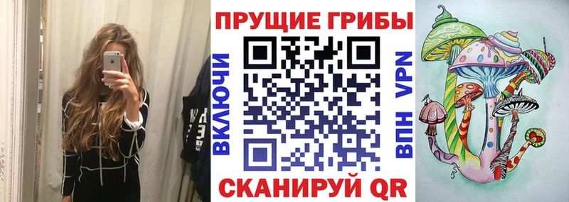 Купить  Правдинск  Галлюциногенные грибы Cubensis 